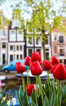 Making it more sustainable